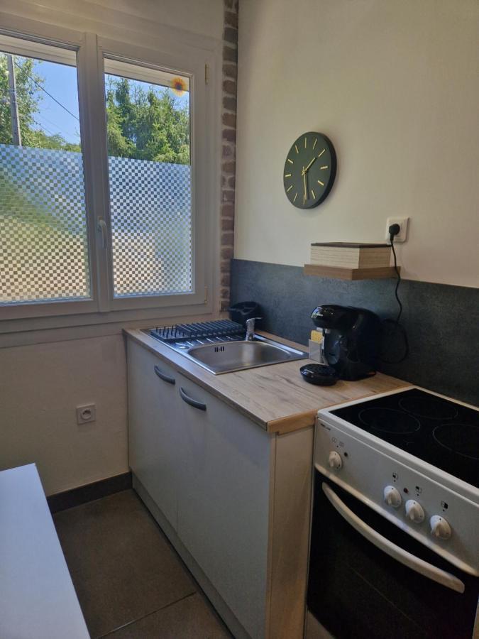 Appartement Independant Dans Maison Avec Jardinet, Au Calme Serezin-du-Rhone Экстерьер фото