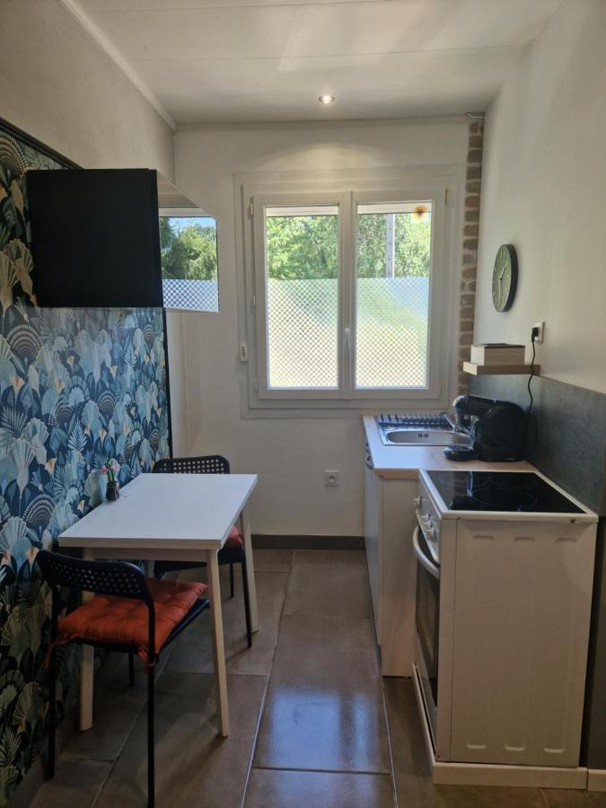 Appartement Independant Dans Maison Avec Jardinet, Au Calme Serezin-du-Rhone Экстерьер фото